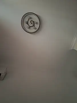 yin202601 online show from April 2026 09:04:01 AM