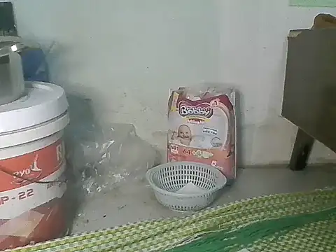 Fish sexy online show from March 2026 09:09:02 AM