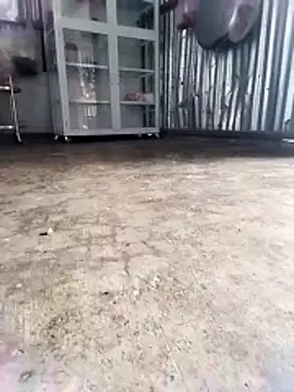 Malisa-aa online show from March 2026 12:05:01 AM