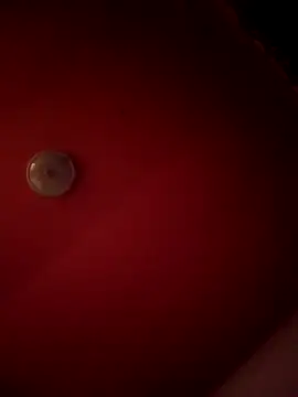 Snapshot of alexandruElena chatting on February 2026 06:20:02 PM alexandruElena online show from February 2026 06:20:02 PM