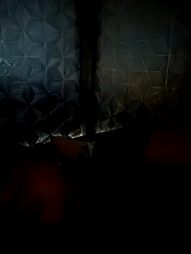 dualeo11 online show from March 2026 11:06:01 PM