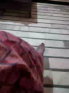 Snapshot of Tamillaxmi12 chatting on March 2026 03:58:01 PM Tamillaxmi12 online show from March 2026 03:58:01 PM