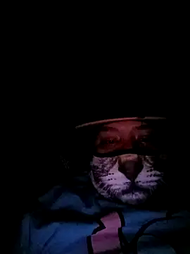 Charlygunslove online show from March 2026 01:34:01 AM