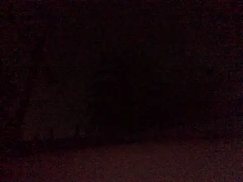 Donkie909 online show from April 2026 06:52:01 AM