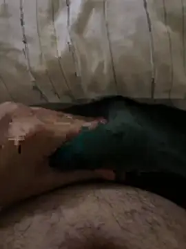 el sfaa7 online show from April 2026 02:55:02 PM