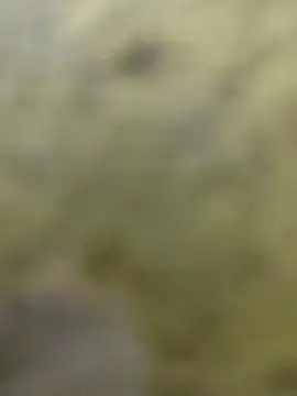 clayto77 online show from March 2026 12:07:01 AM