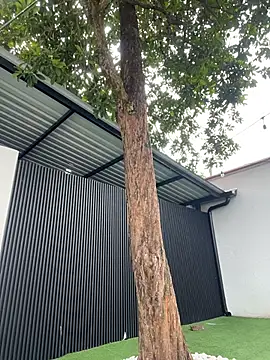 Bella-Ferrer online show from March 2026 06:24:01 PM