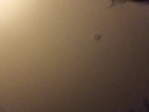 Bigboadick online show from June 2026 08:55:01 PM