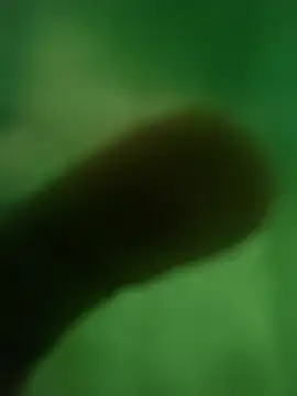 ffgffefgg online show from March 2026 12:39:01 AM