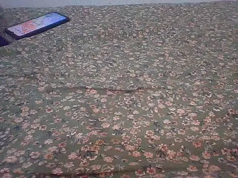 desilund0230 online show from March 2026 06:45:02 PM