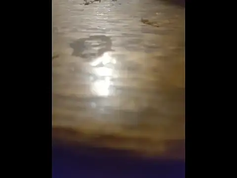 pit4296 online show from April 2026 01:04:01 AM