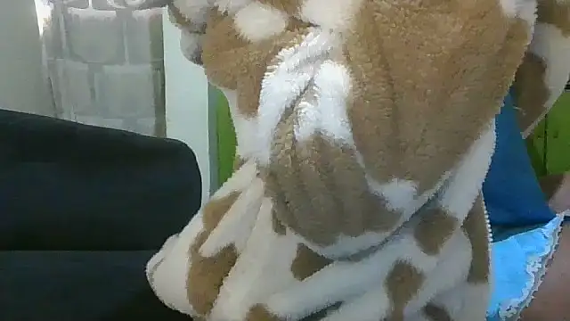 Elianastar online show from April 2026 04:46:02 AM