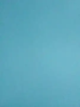 PrimBee online show from April 2026 11:19:02 PM