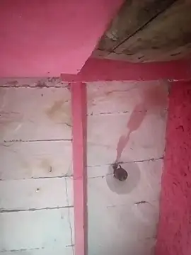 Mona ji32 online show from April 2026 03:32:02 PM