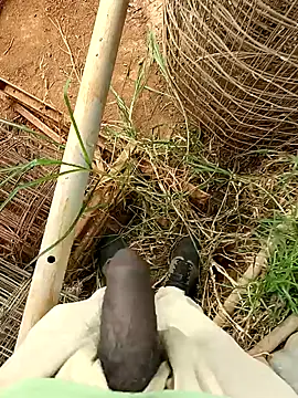 sanju 5418 online show from April 2026 08:55:01 AM