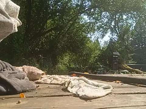 nearby causual online show from July 2026 10:56:01 PM