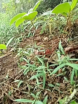 maymay121 online show from April 2026 10:08:02 AM