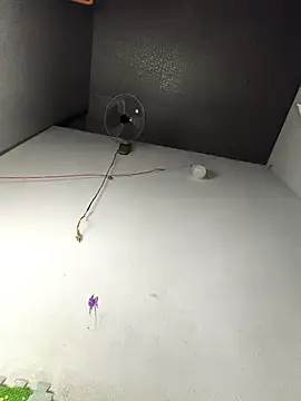 my33verything online show from March 2026 02:09:02 PM