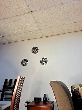 laurabassii online show from April 2026 01:48:02 PM