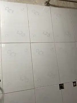 tieuvy6 online show from March 2026 07:41:02 AM