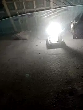 hot honey 66 online show from April 2026 09:48:02 PM