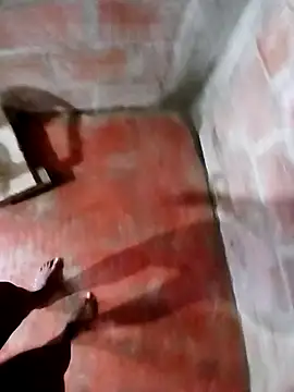 irish 1 online show from April 2026 01:41:01 PM