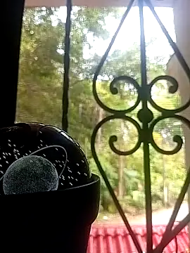 SabrinaVantress online show from April 2026 04:52:01 PM