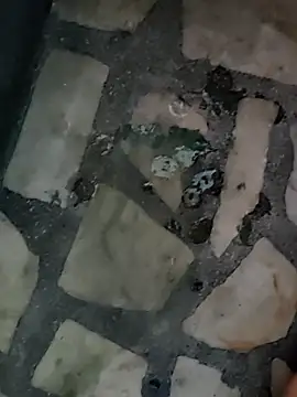 diljaan51 online show from March 2026 04:40:01 AM