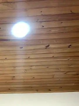 -Zoe Jack- online show from April 2026 12:49:01 PM