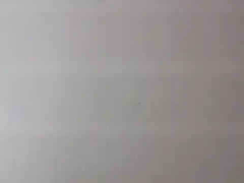 Zurii  online show from April 2026 07:52:01 PM