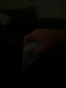 yassineamri online show from March 2026 01:22:02 PM