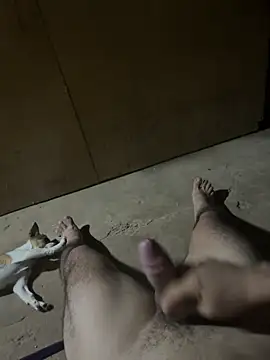 calientechicoloko online show from March 2026 11:32:02 PM