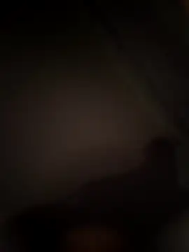 abdealrh online show from March 2026 05:49:01 PM