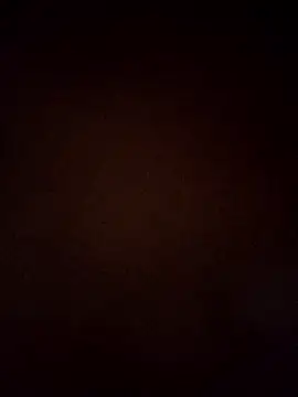 VENUSH STYLO online show from March 2026 04:40:01 PM