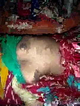 deshi girl 2007 online show from April 2026 08:37:02 AM