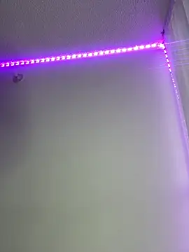 LYAN DYLAN online show from April 2026 10:51:01 PM