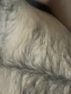 TurkishBoyzs online show from April 2026 07:29:01 PM