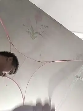 Tinh love online show from March 2026 12:44:02 PM