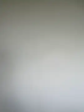 SerenaFox  online show from April 2026 08:06:01 PM