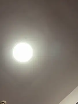 Nyla xox online show from April 2026 10:38:01 PM