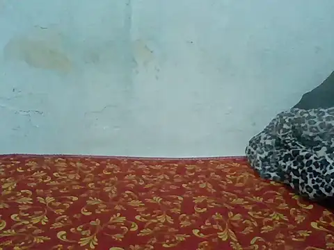 Rato250 online show from April 2026 06:41:01 PM