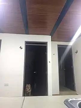 yvonne 1998 online show from April 2026 10:10:02 PM