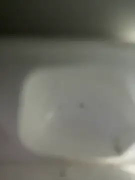 scarlett turner  online show from April 2026 02:33:02 AM