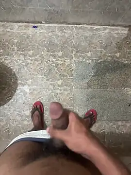 dashingdih online show from April 2026 10:43:01 PM