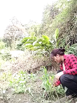 Giang-mylove online show from April 2026 02:32:01 AM