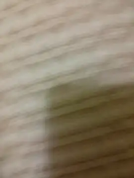 SteedyGee online show from April 2026 08:31:01 PM