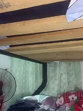 Cataleya2026 online show from April 2026 08:42:02 PM