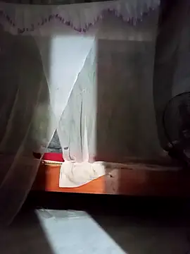 -Tipo- online show from April 2026 11:18:02 AM