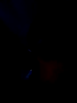 tony anna online show from April 2026 08:12:01 AM