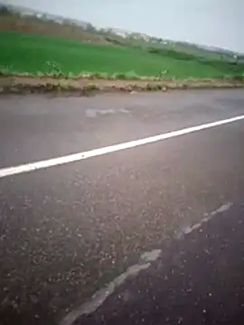 alicancetin11 online show from April 2026 08:23:01 AM